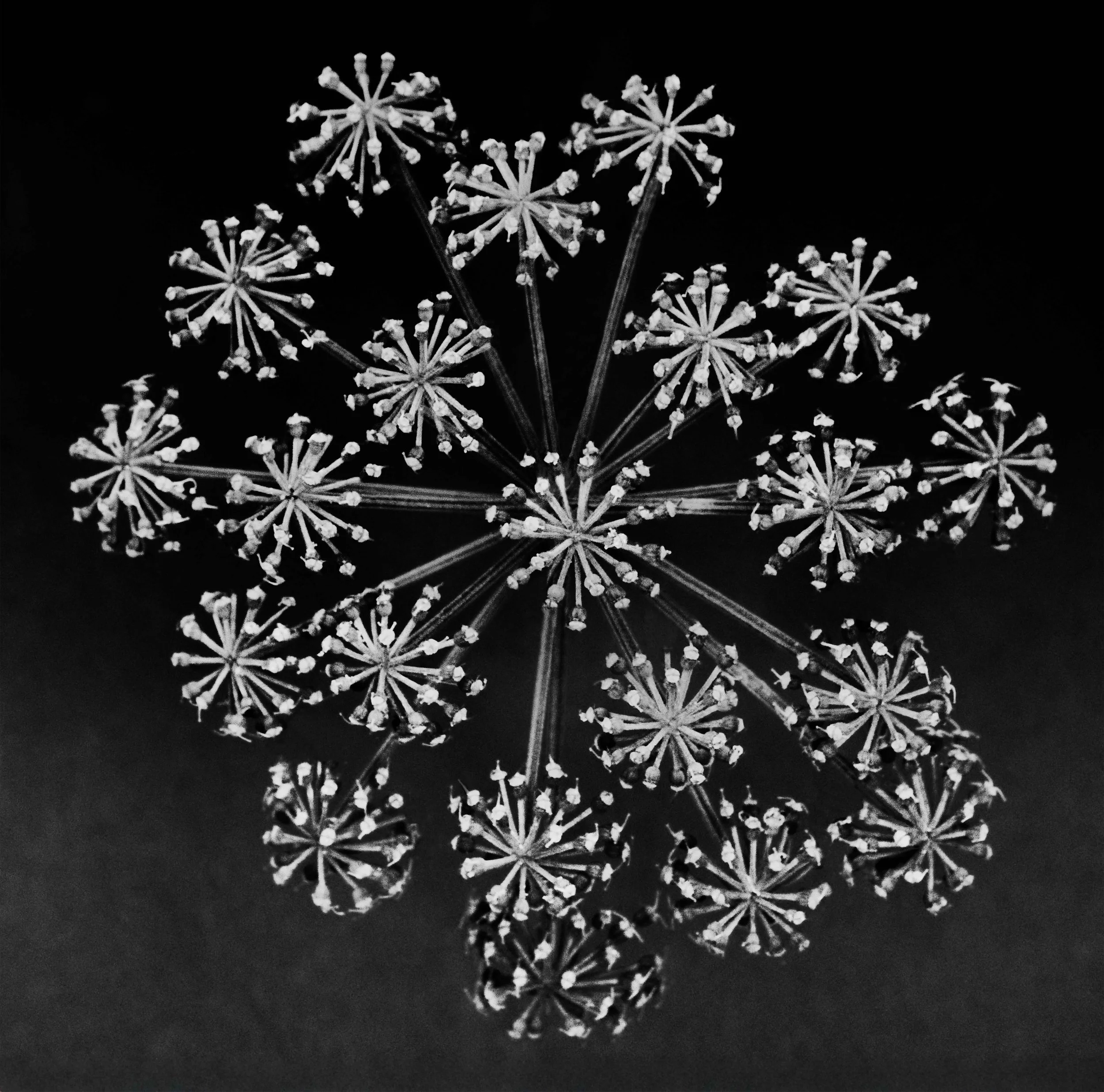 R3_04142_WEB.jpg
