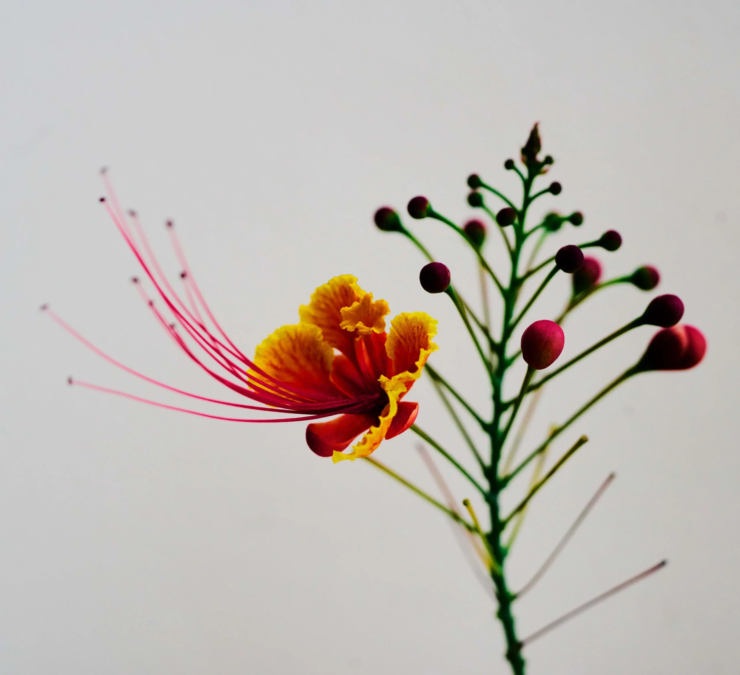 _R3_8552_WEB2.jpg