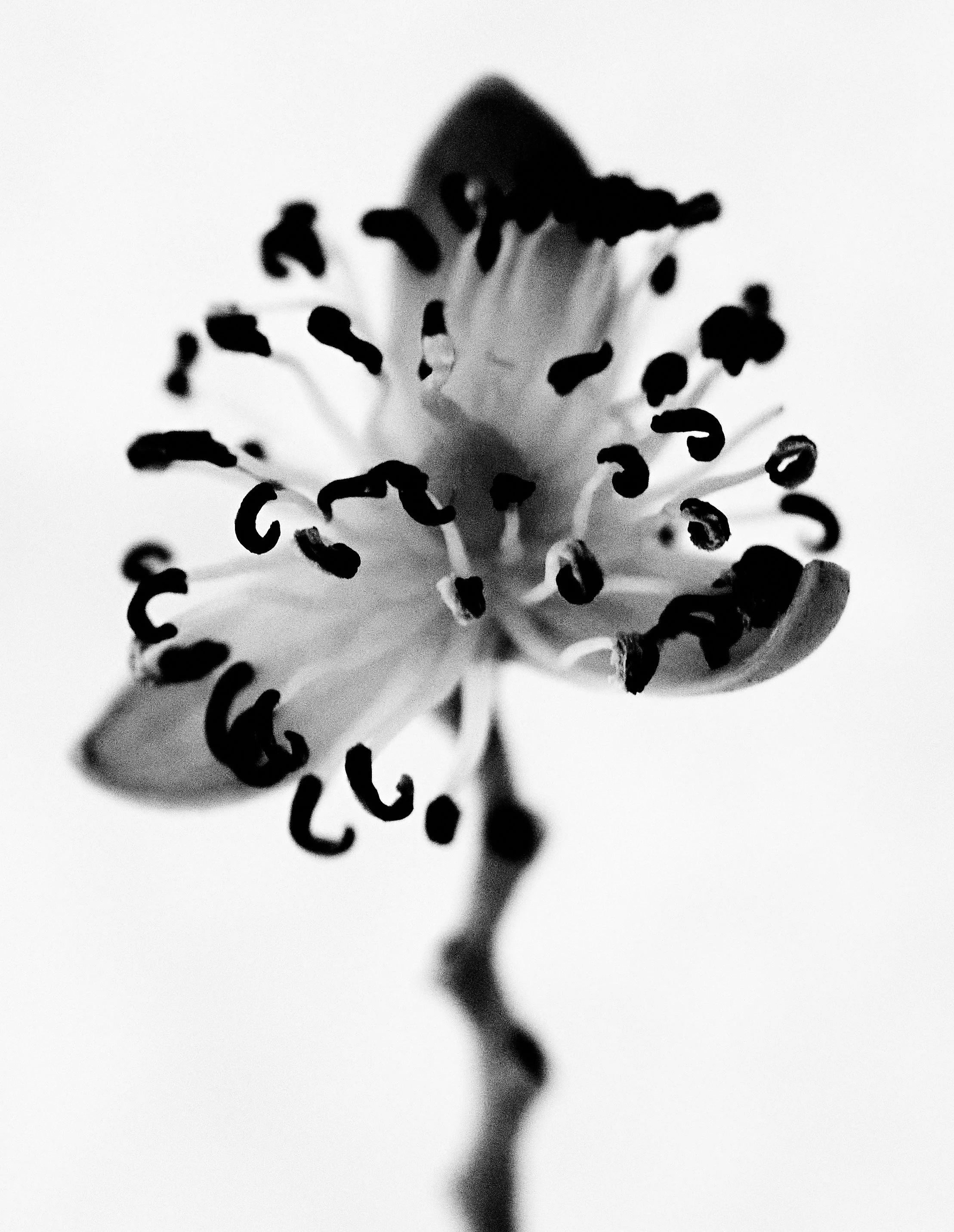 _R3_8254.jpg