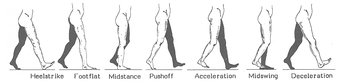 Body_Alignment_Figure19.jpg