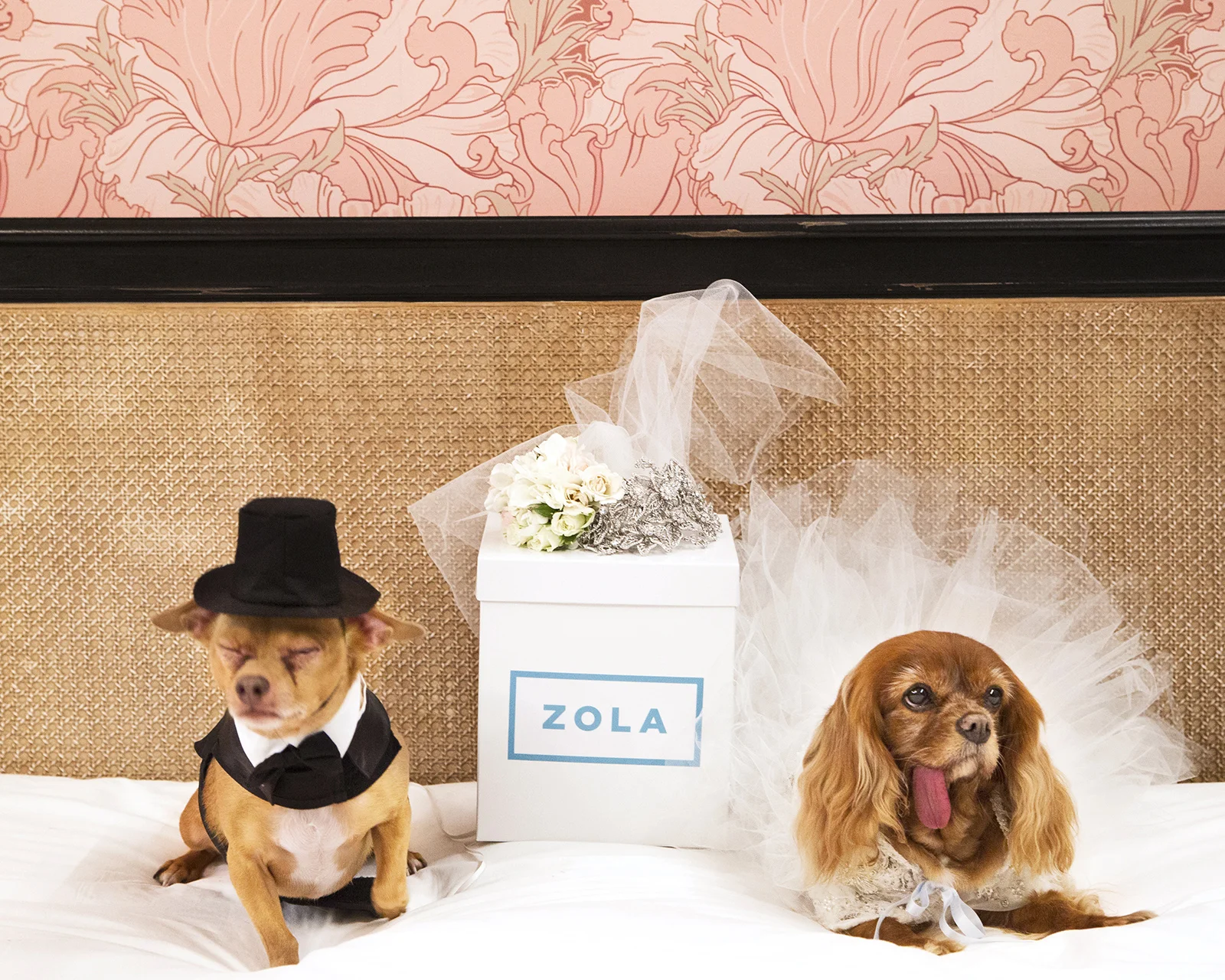 Zola_wedding_01.jpg