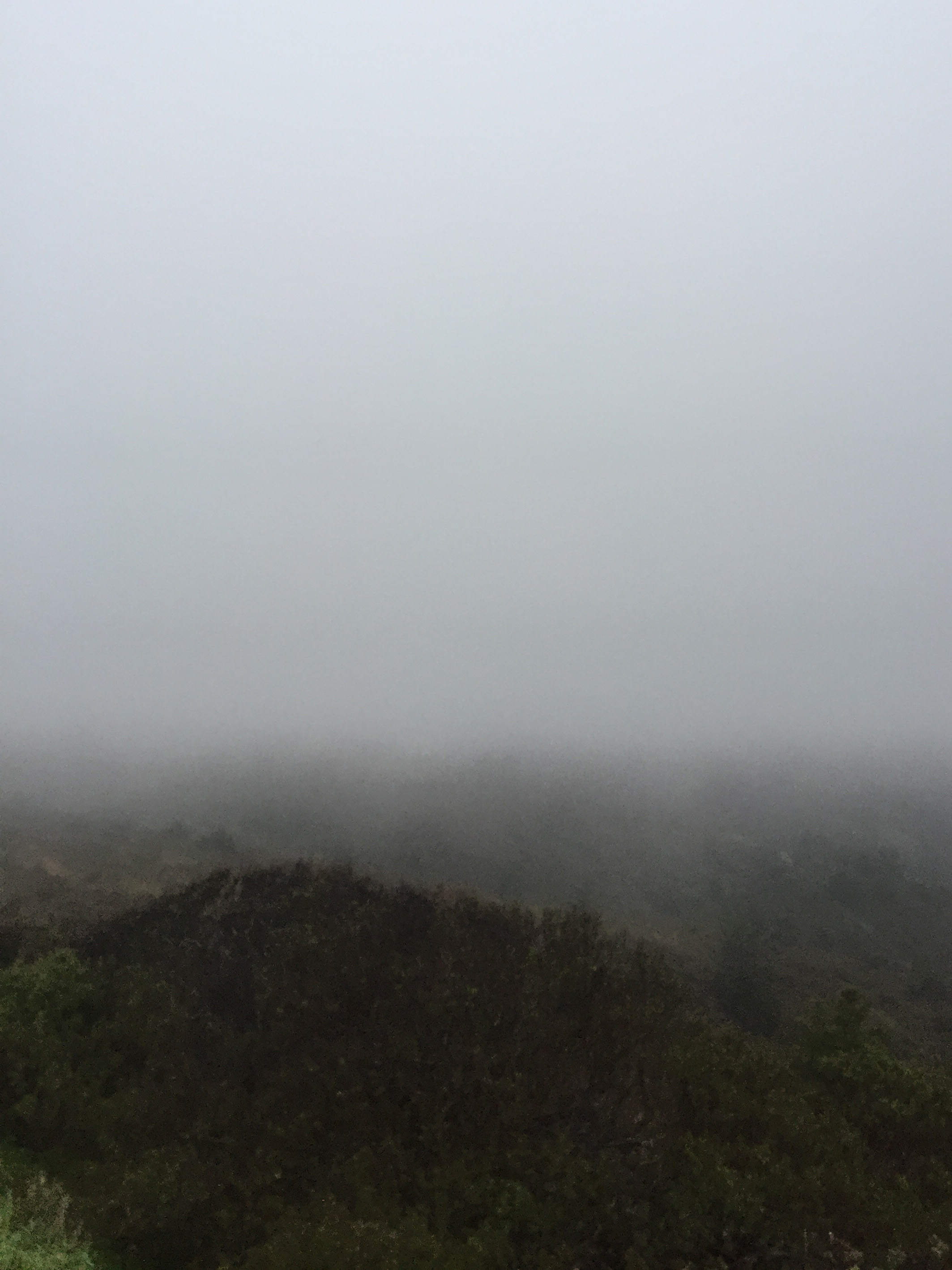 The fog blanketed the route. I made him pull over because I'm a sucker for when mother nature shows off with her color palettes. When everything just fades into nothing. Magic. Also, it made me think of the opening lyrics to Round Here, an inevitable add to any road trip playlist.