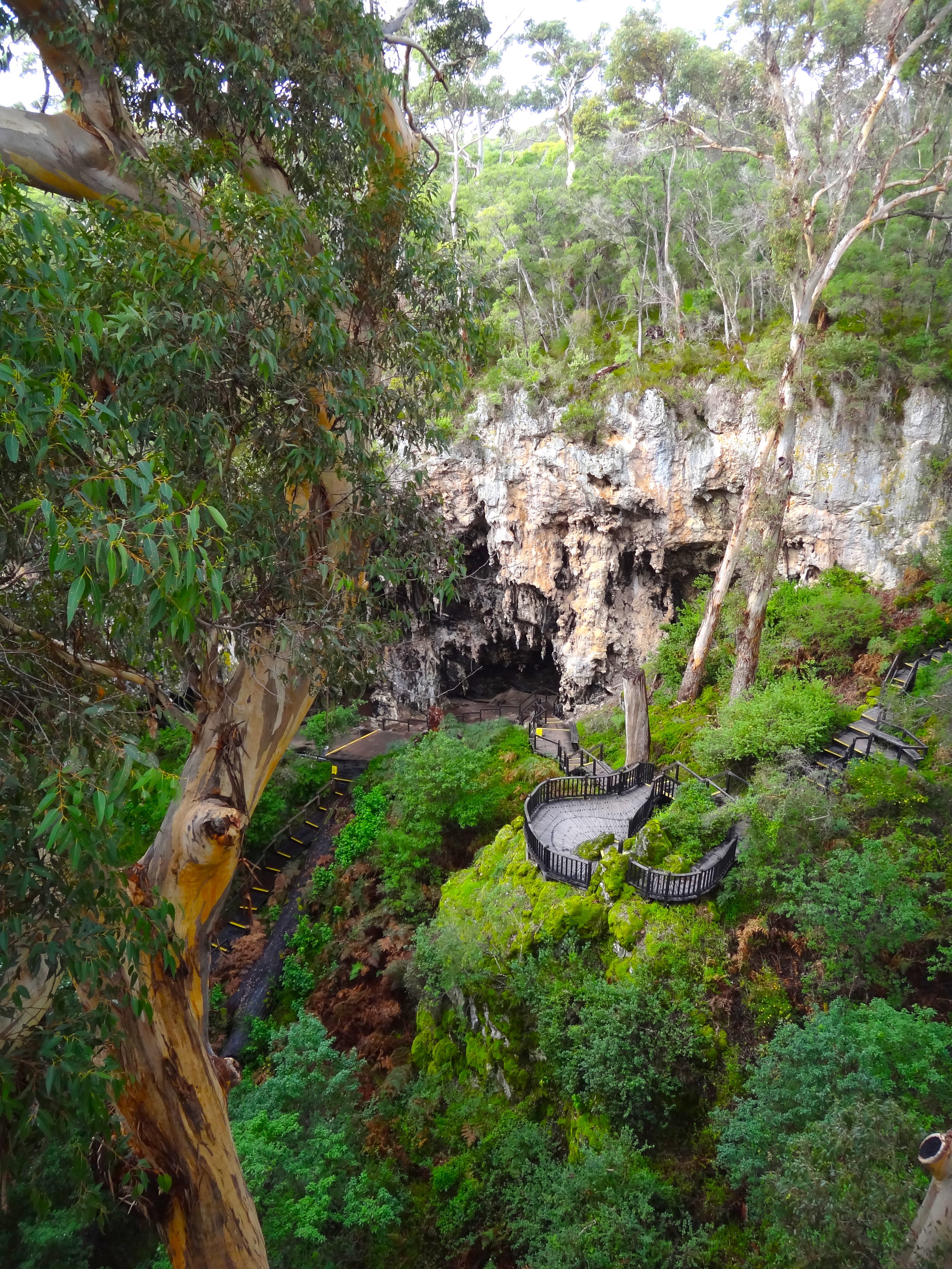 From dense forest with the impressive doline forming the entrance of Jewel Cave