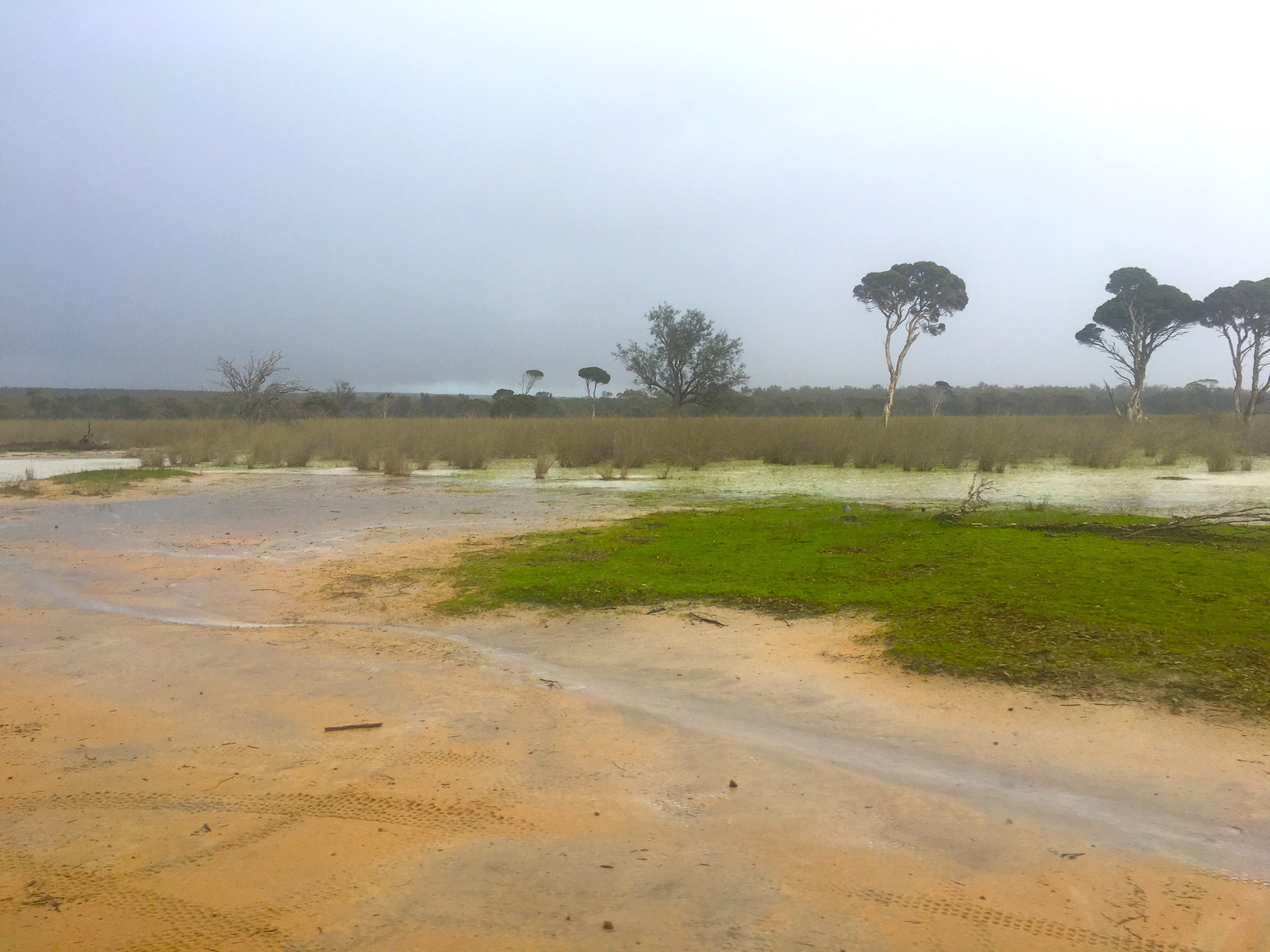 ...into wetlands