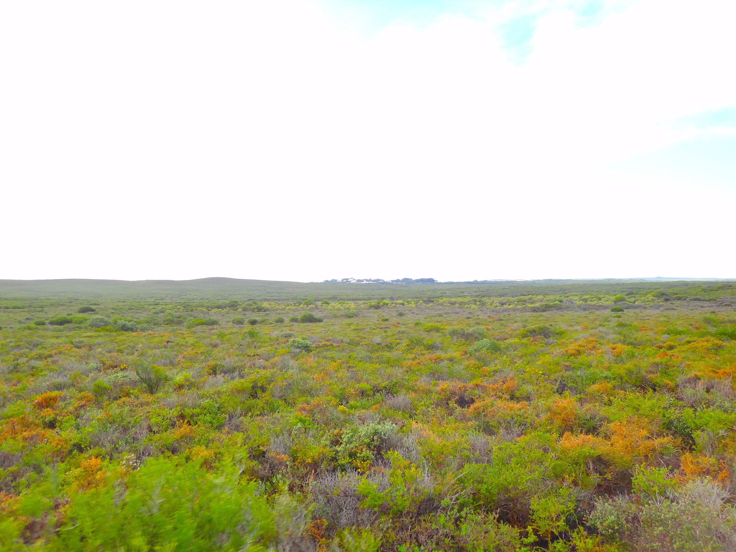 ...to flat lands with low vegetation