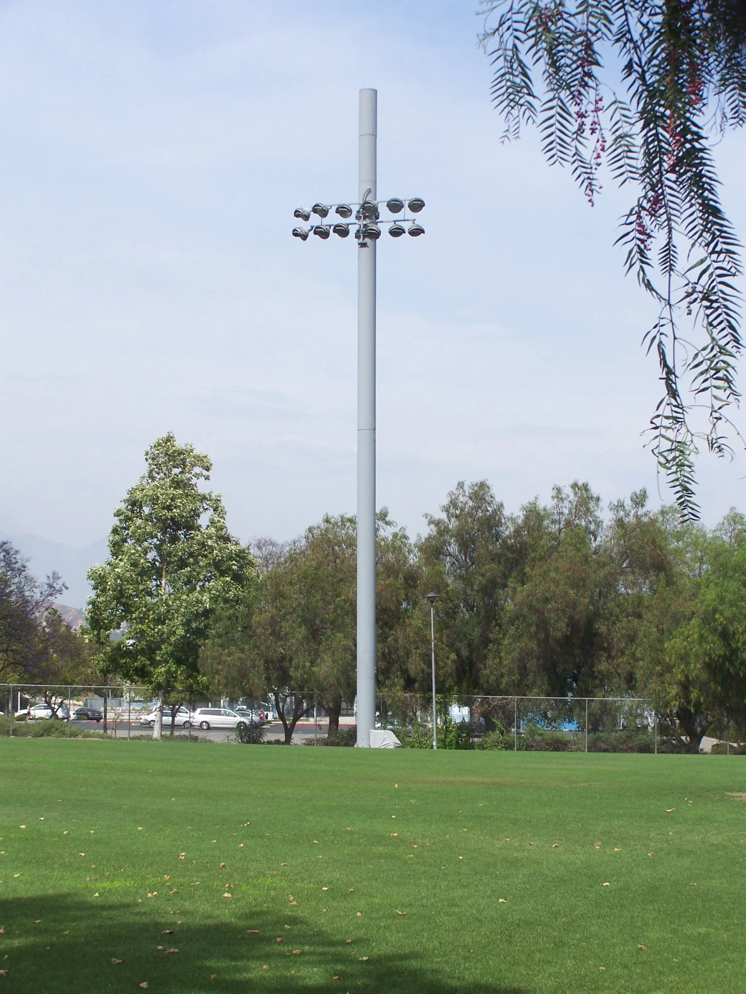 100_7063.jpg