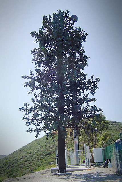 Rincon-Del-Diablo_elm.jpg