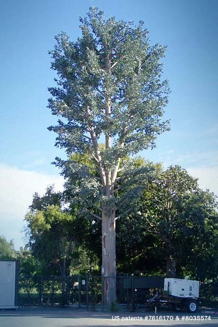 euc_5.jpg