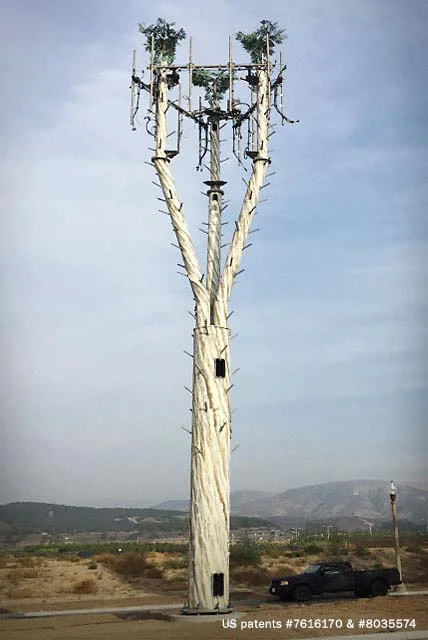 Euc_13.jpg