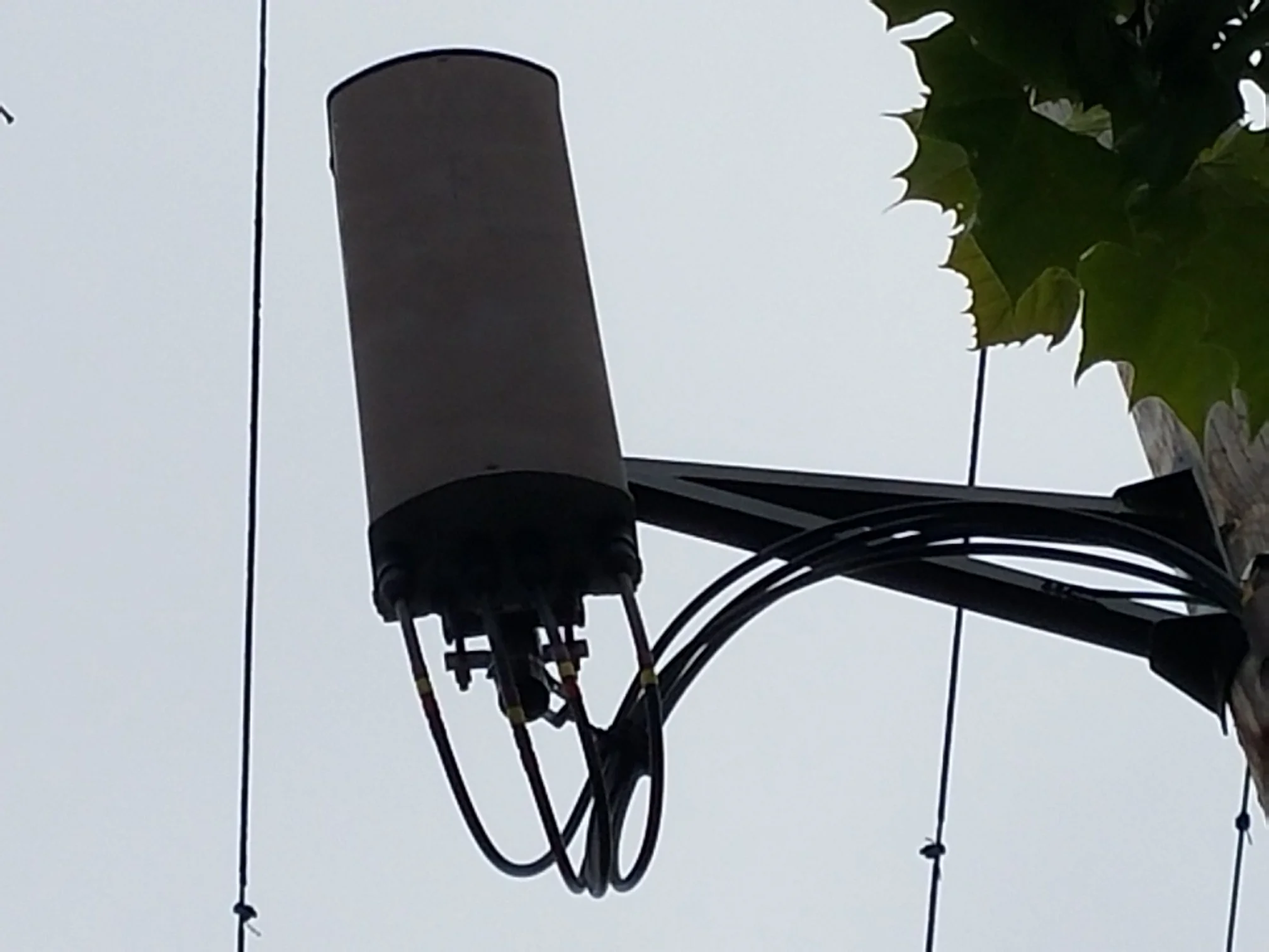 Patented JPAK-AM-200-02S (1).jpg