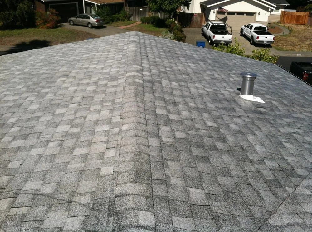 Shingles1.jpg