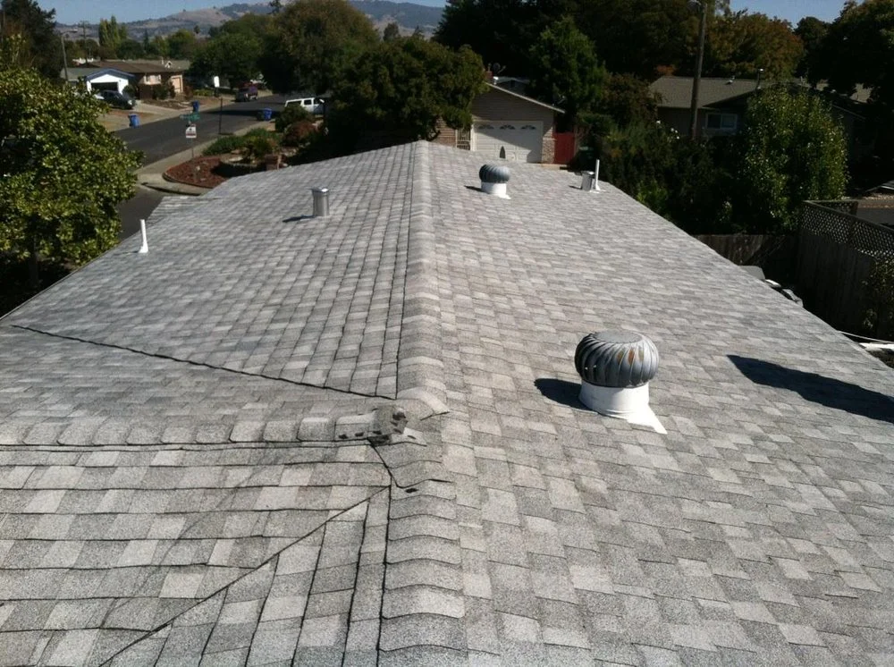 Shingles2.jpg