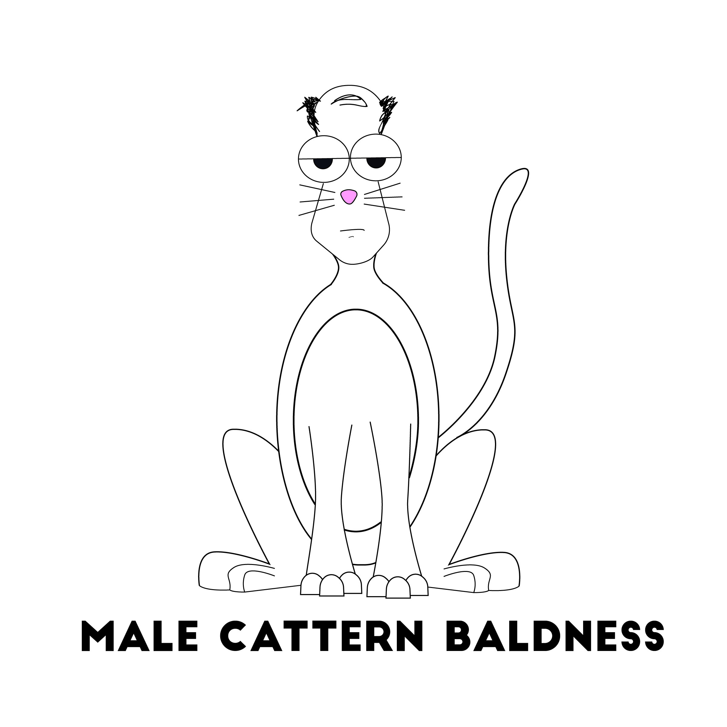 Male_Cattern_Baldness_Title-01.jpg