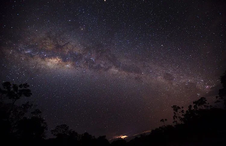 Photography: Hannah Mattner / Amazon Rainforest PERU