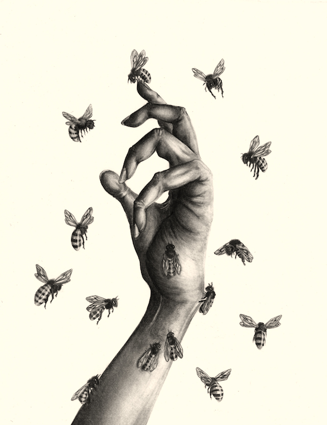 Susannah Kelly