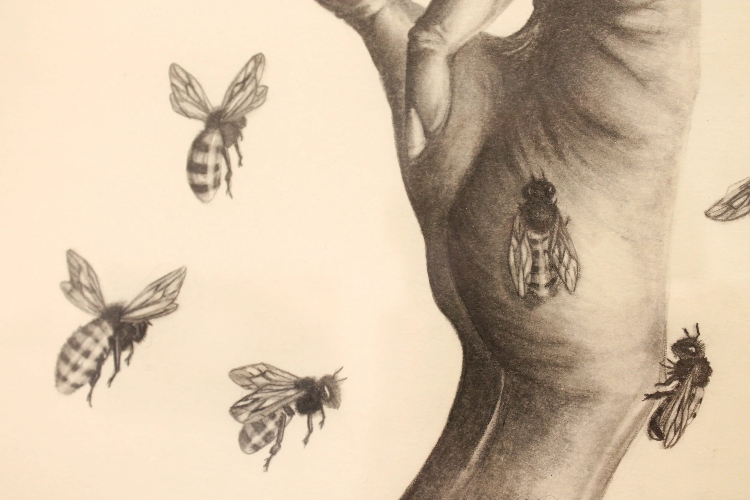 Susannah Kelly, 'Swarm' (detail)