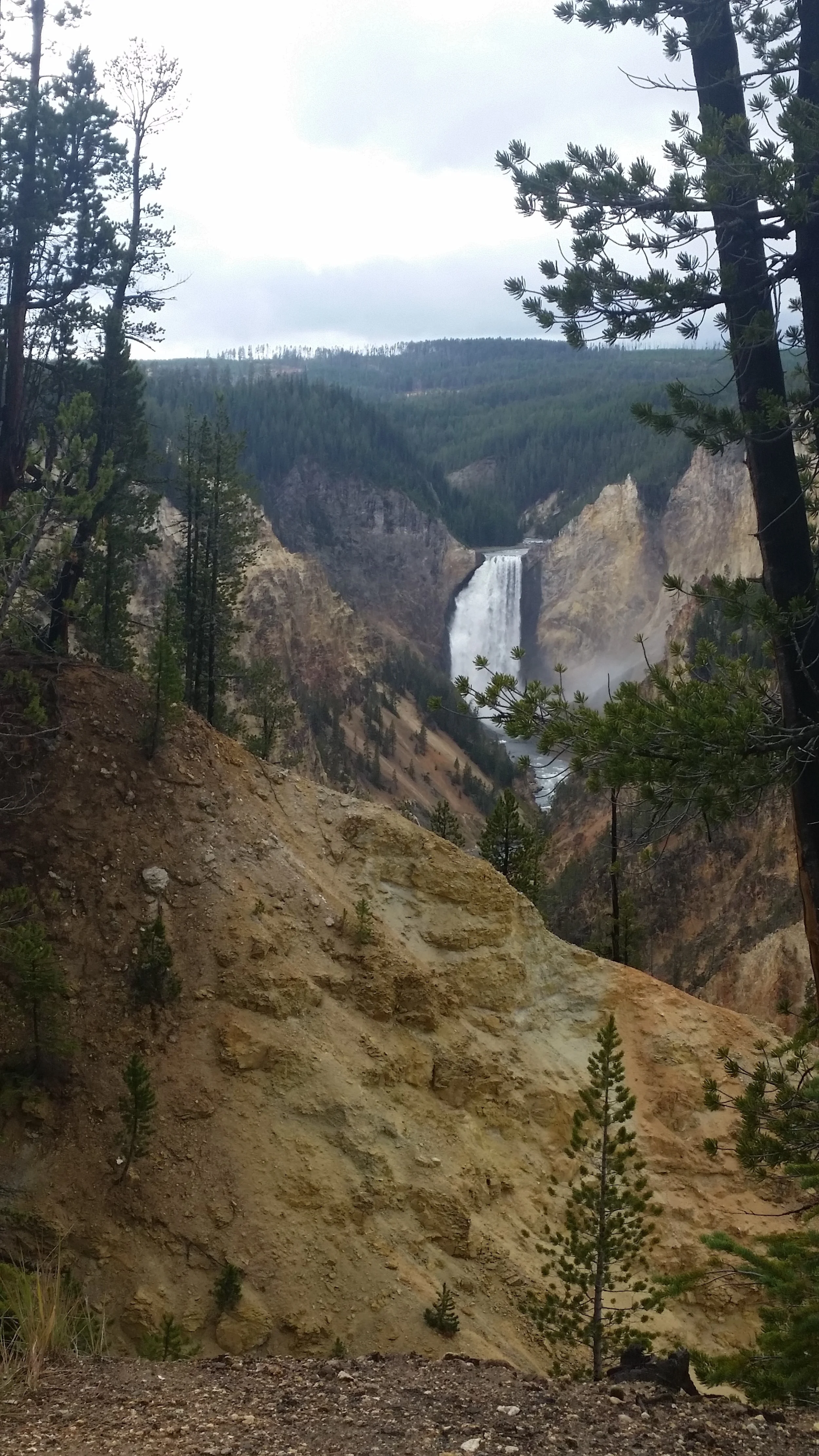 'Wild' by Cheryl Strayed