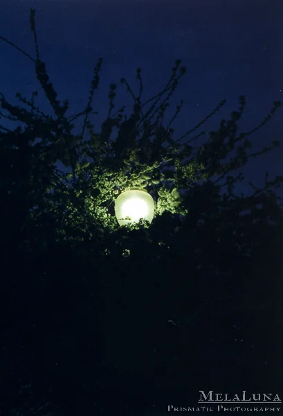Spring Eclipse Season & Beyond: Meditations on Spiritual Service