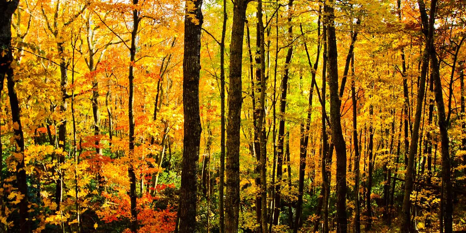 October 2014 Eclipses, the nature of change, and other considerations...