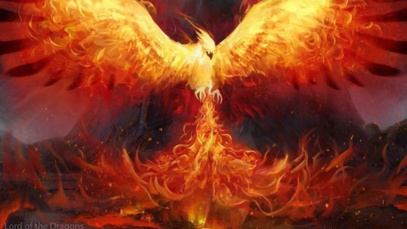 2017 Year of the Fire Rooster / Fire Phoenix
