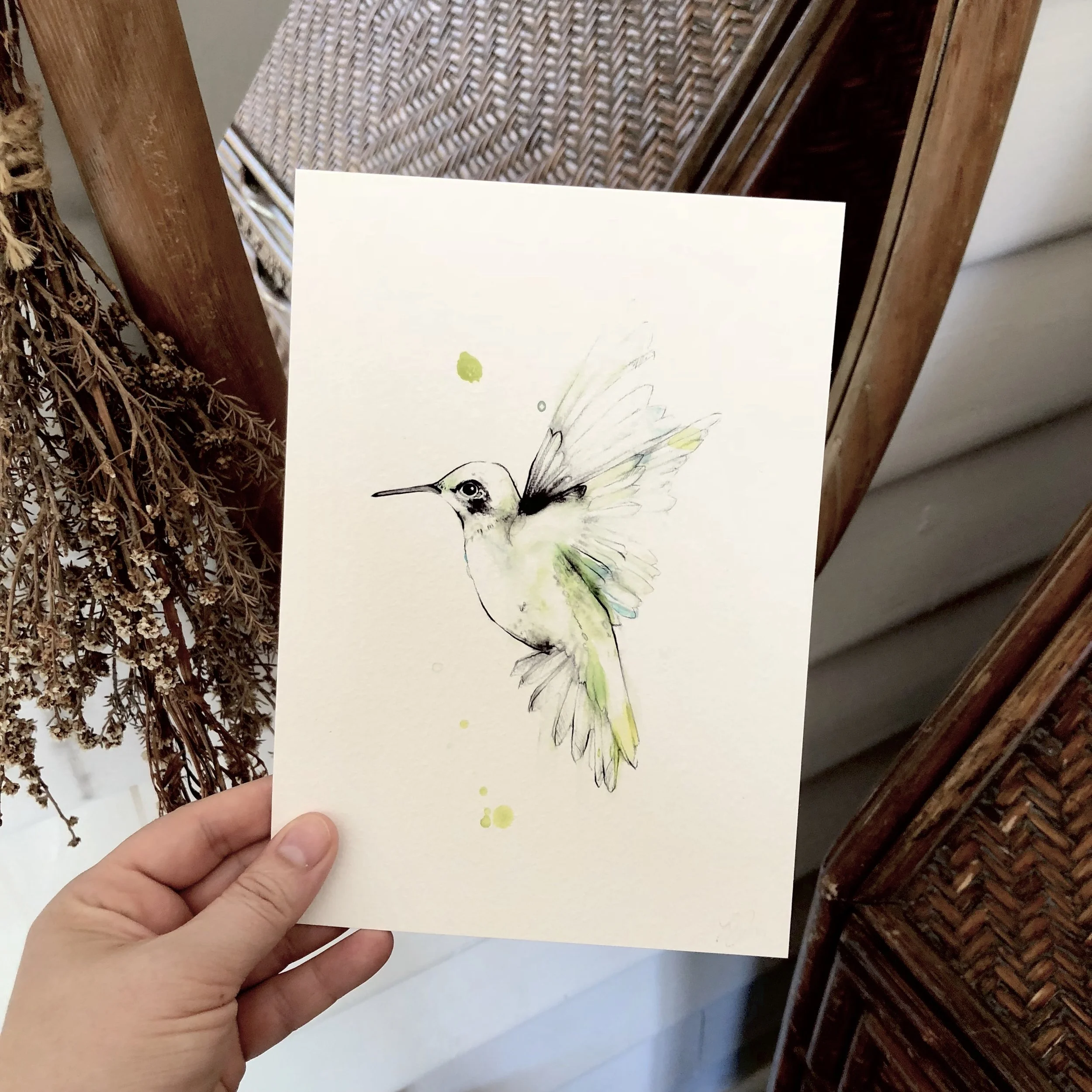 hbird a5.jpg