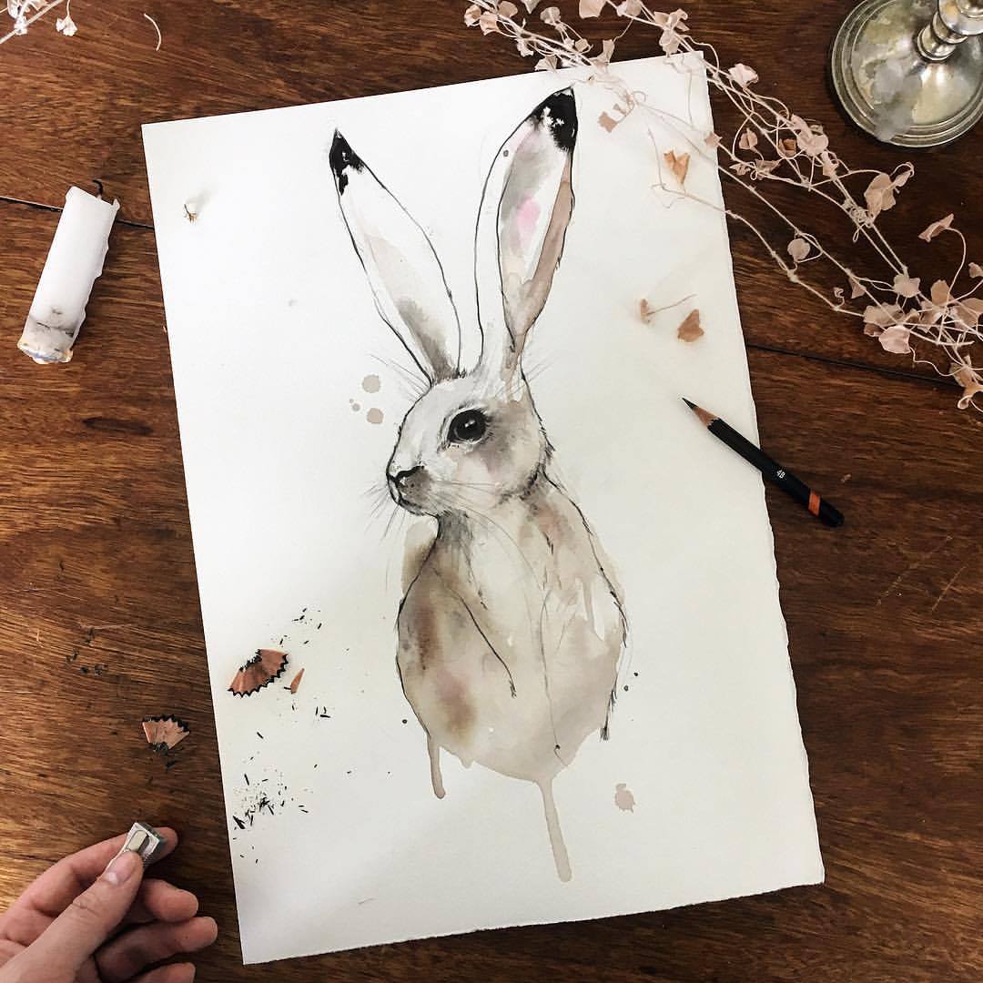 hare watercolour illustration.jpg