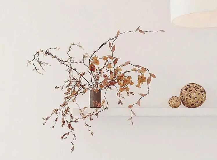 Stacey Gillies Interiors  Auckland, North Shore