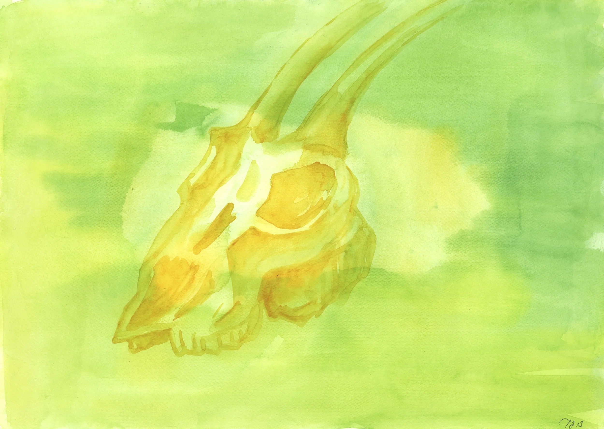 GreenSkull.jpg