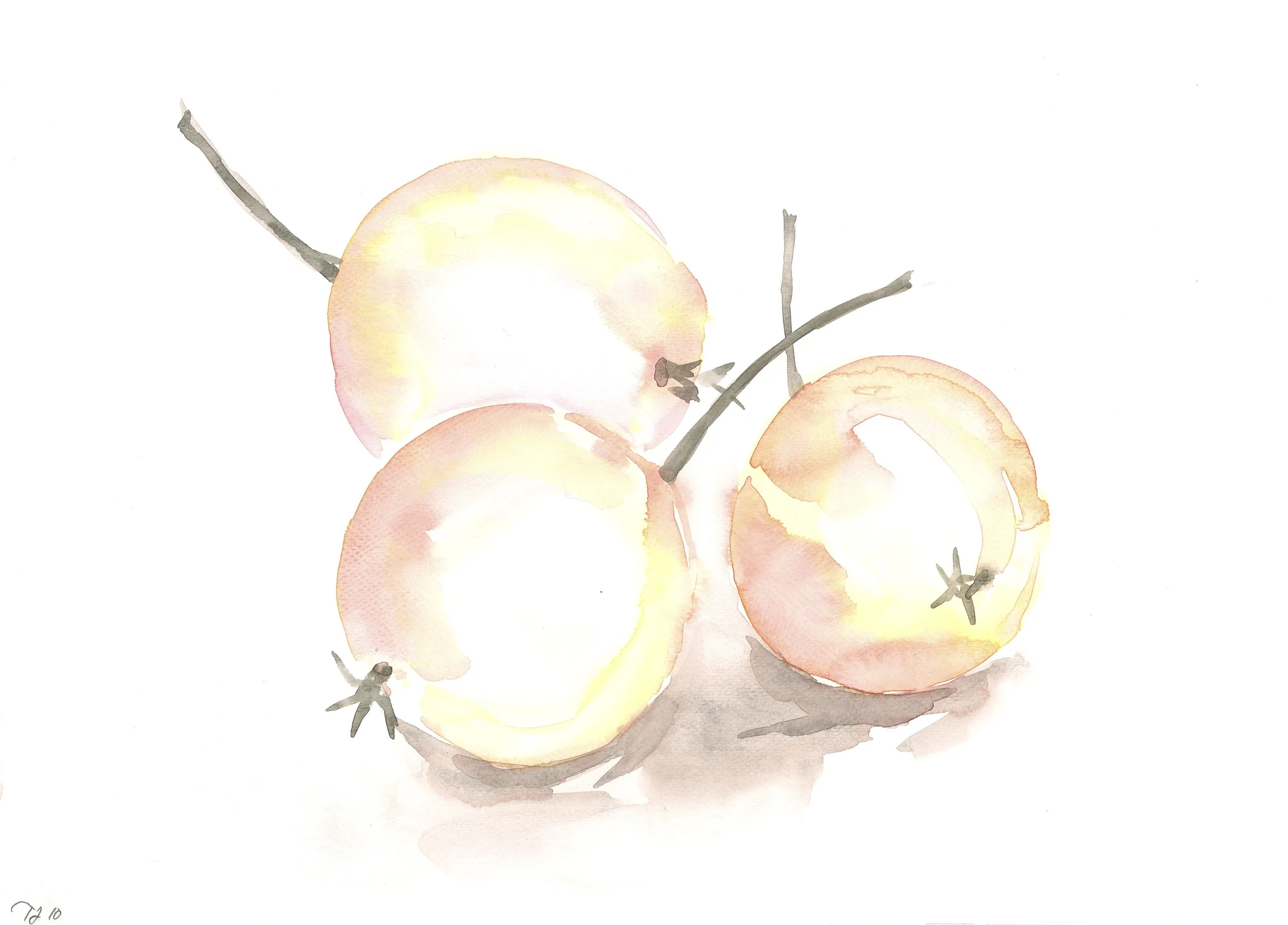 ParadiseApples1.jpg