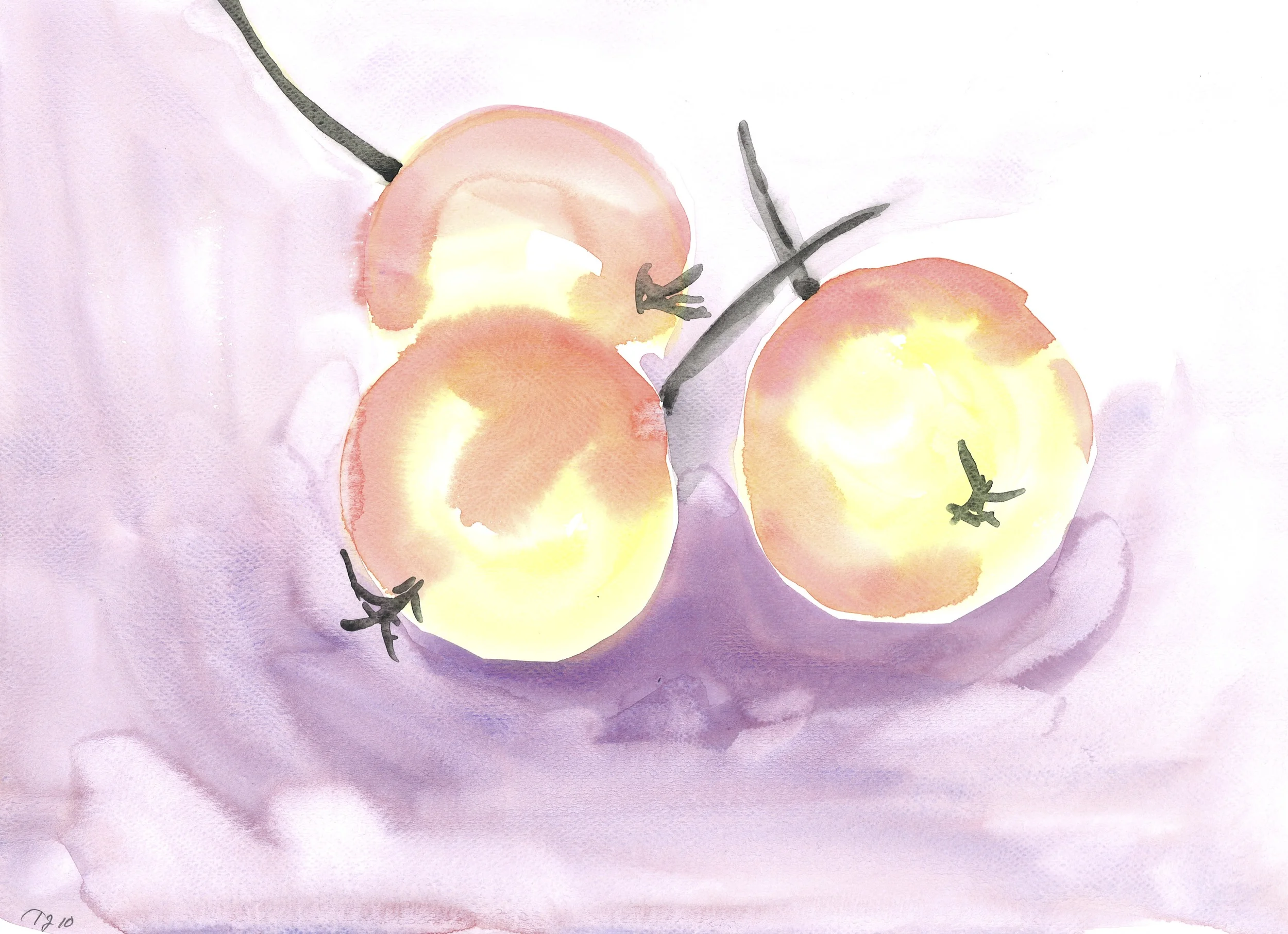 ParadiseApples2.jpg