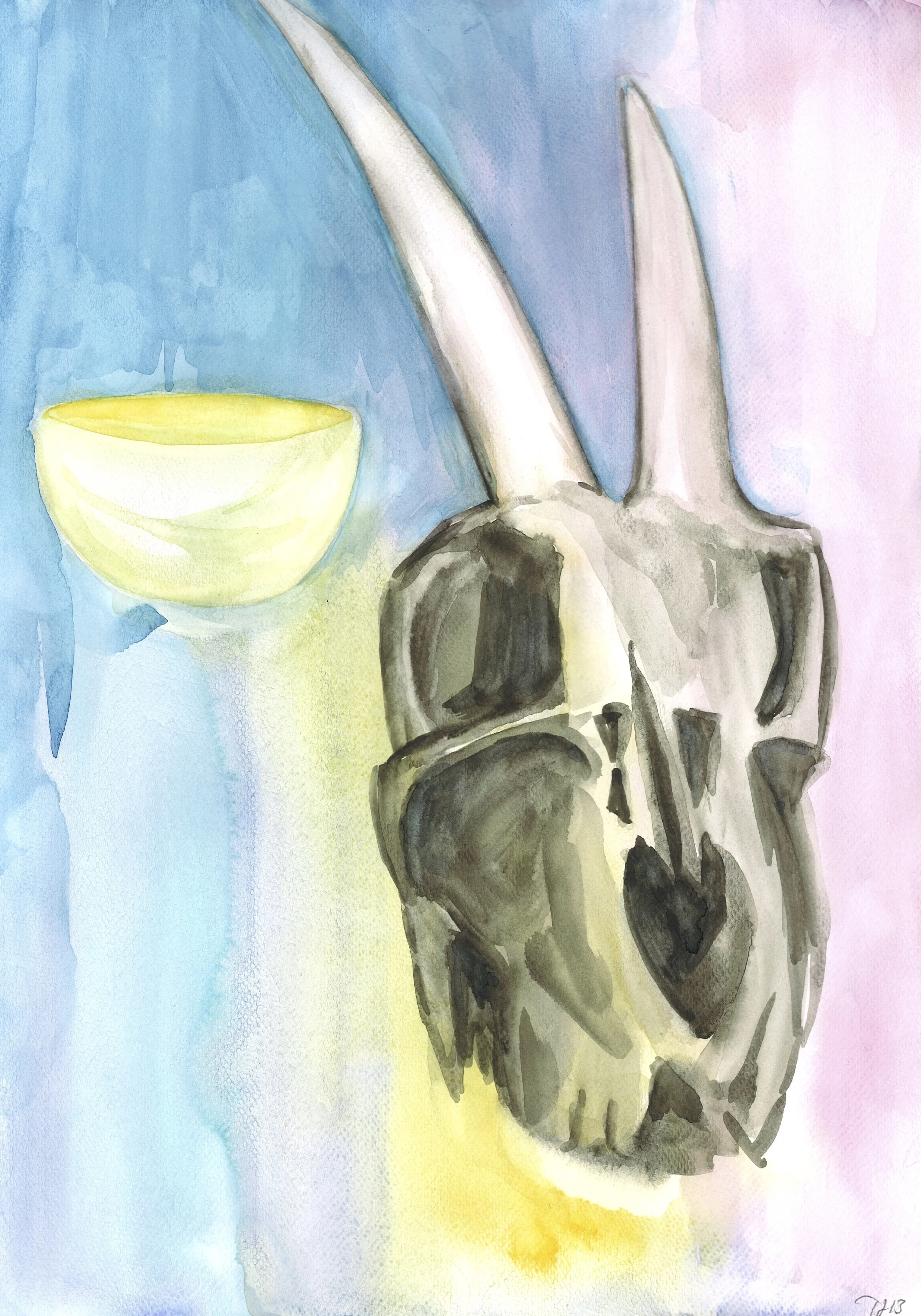 SkullWithBowl.jpg