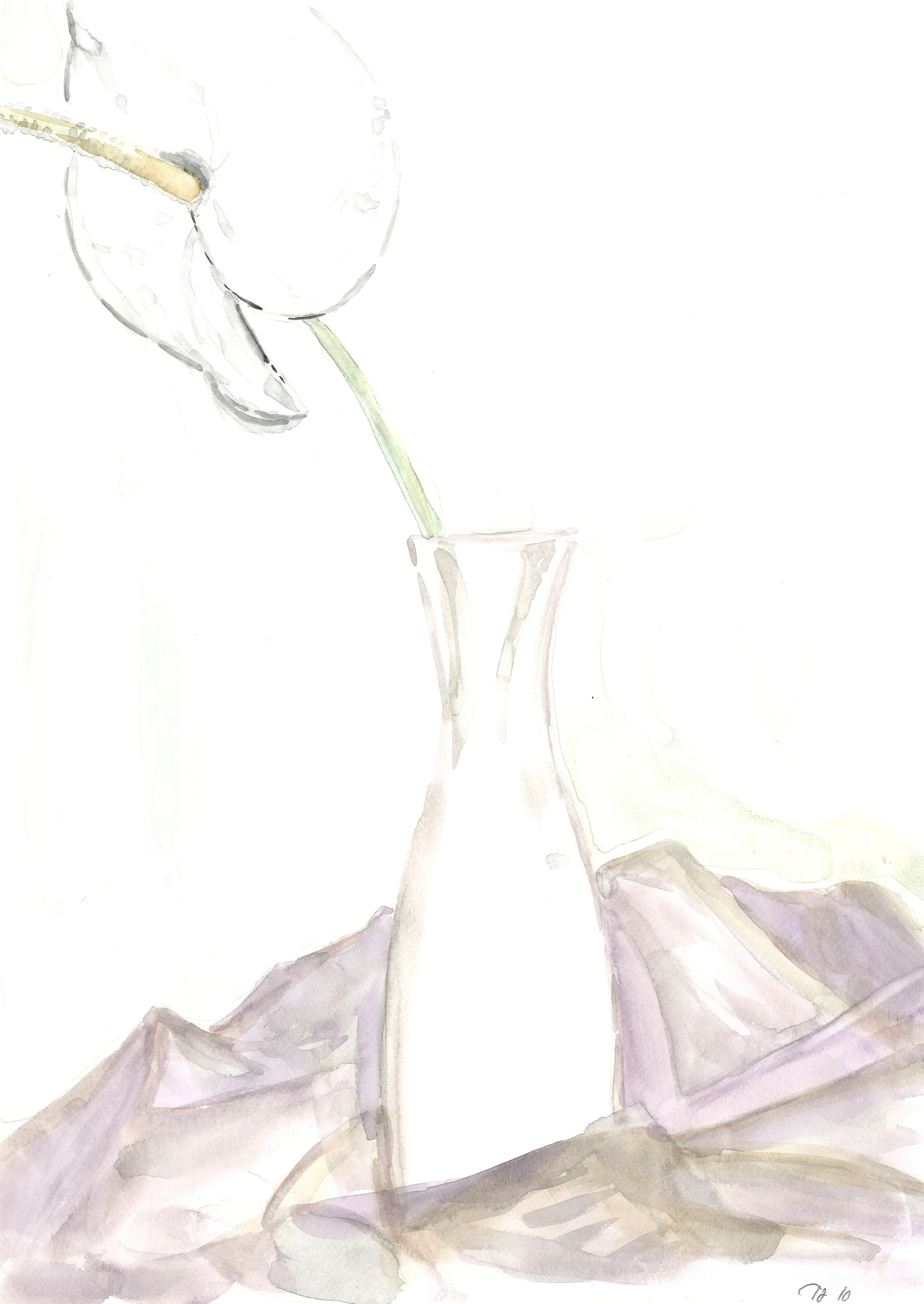 Anthurium.jpg
