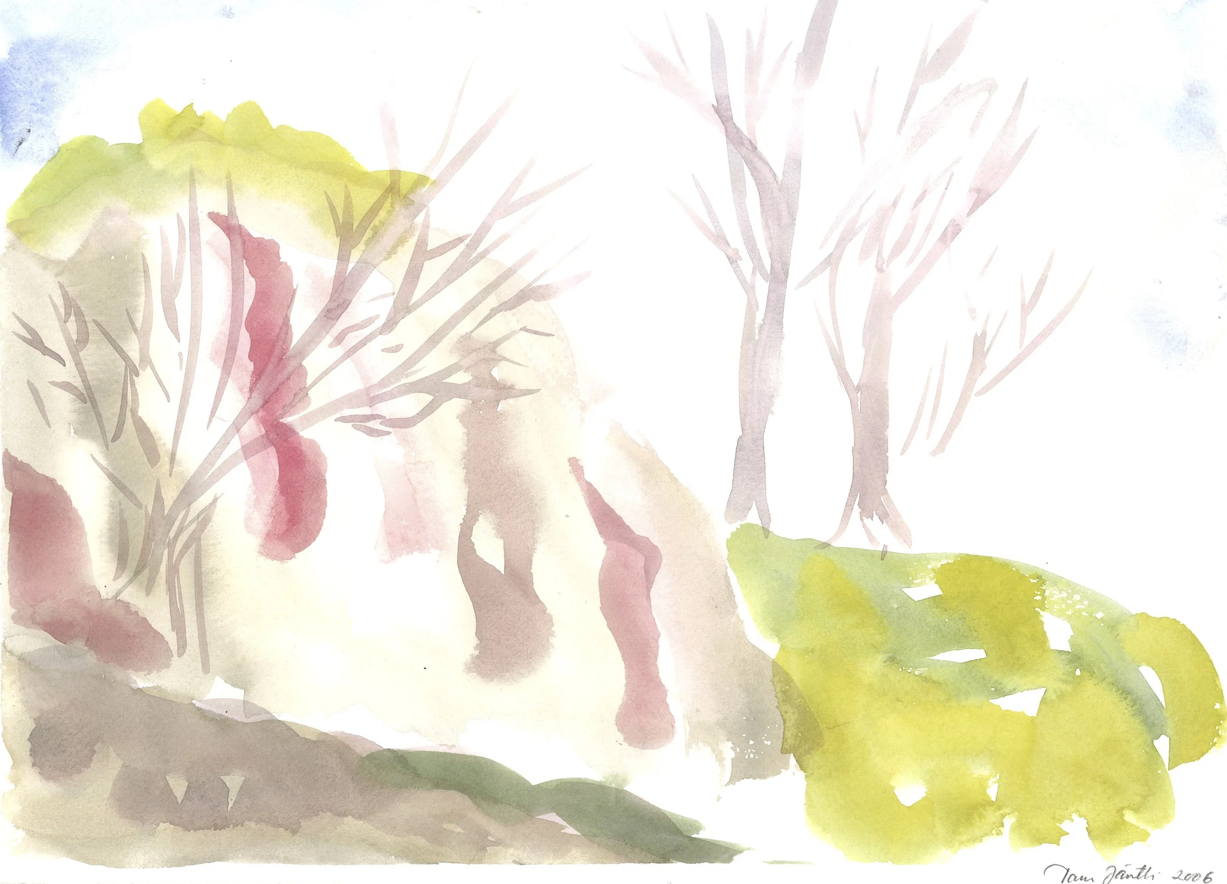 AutumnForest.jpg