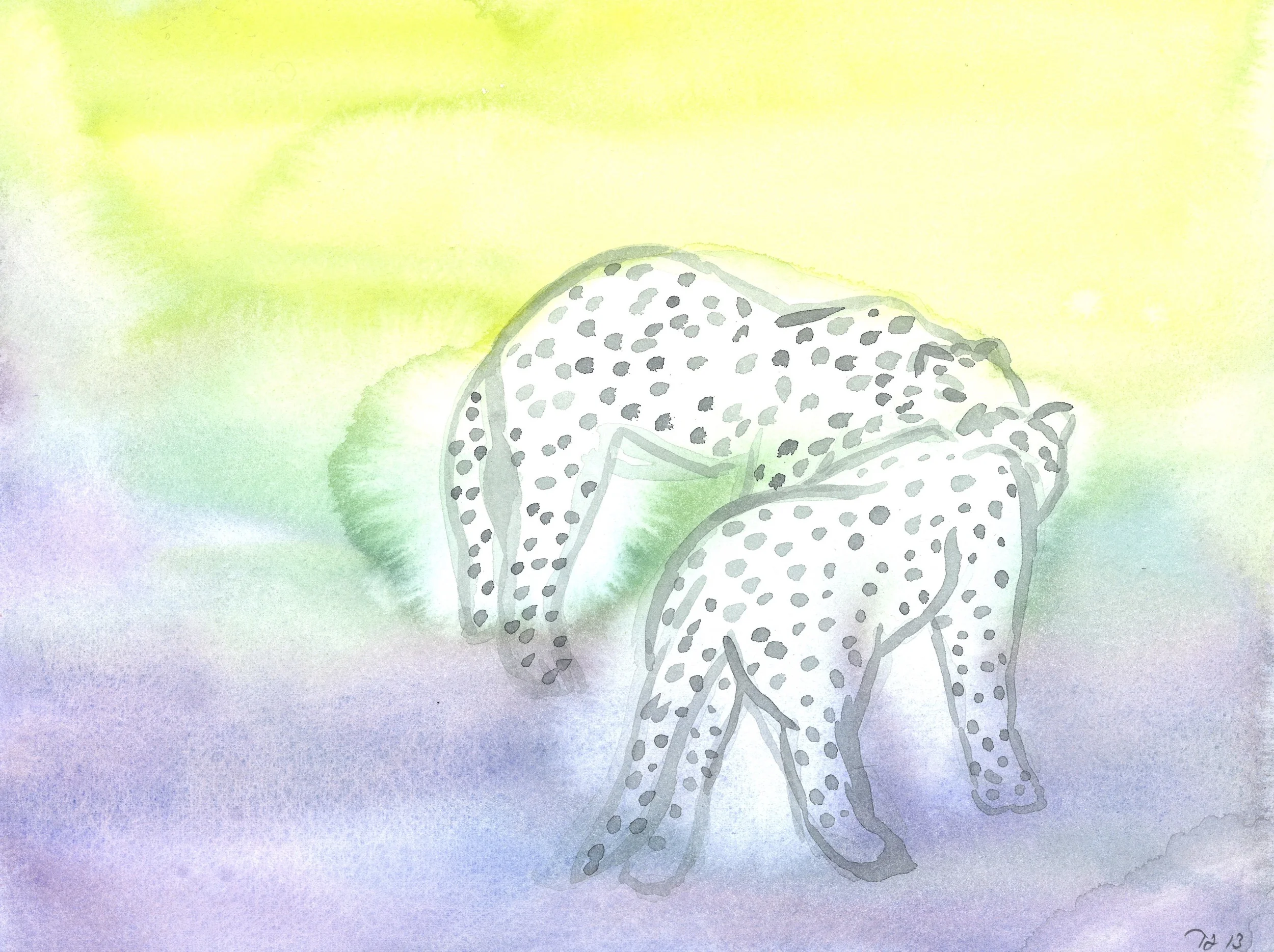 BigCats.jpg