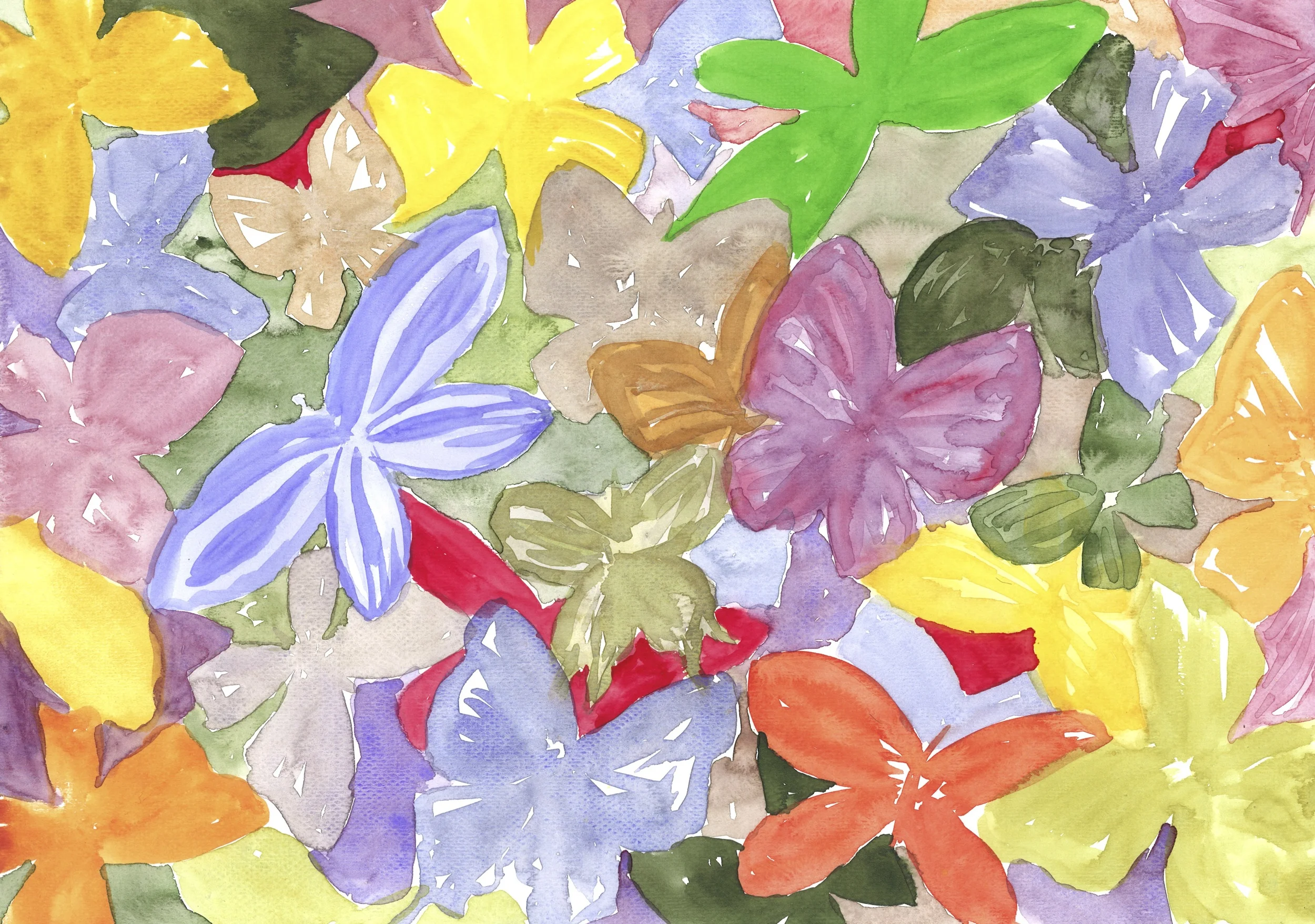 Butterflies.jpg