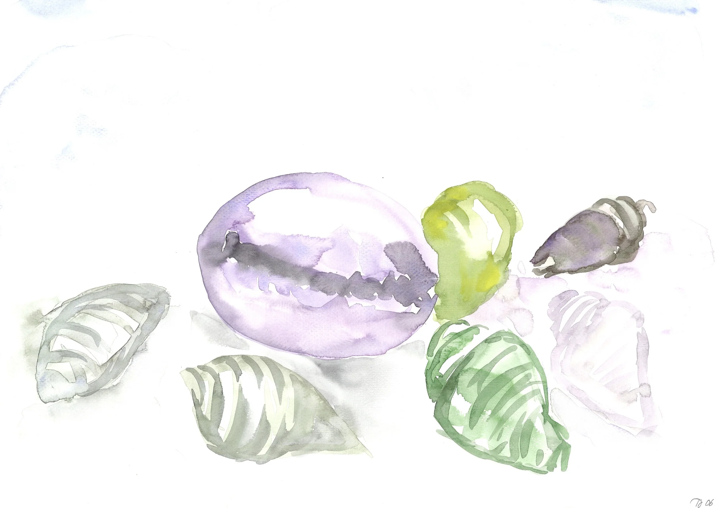 PurpleSeaShell.jpg