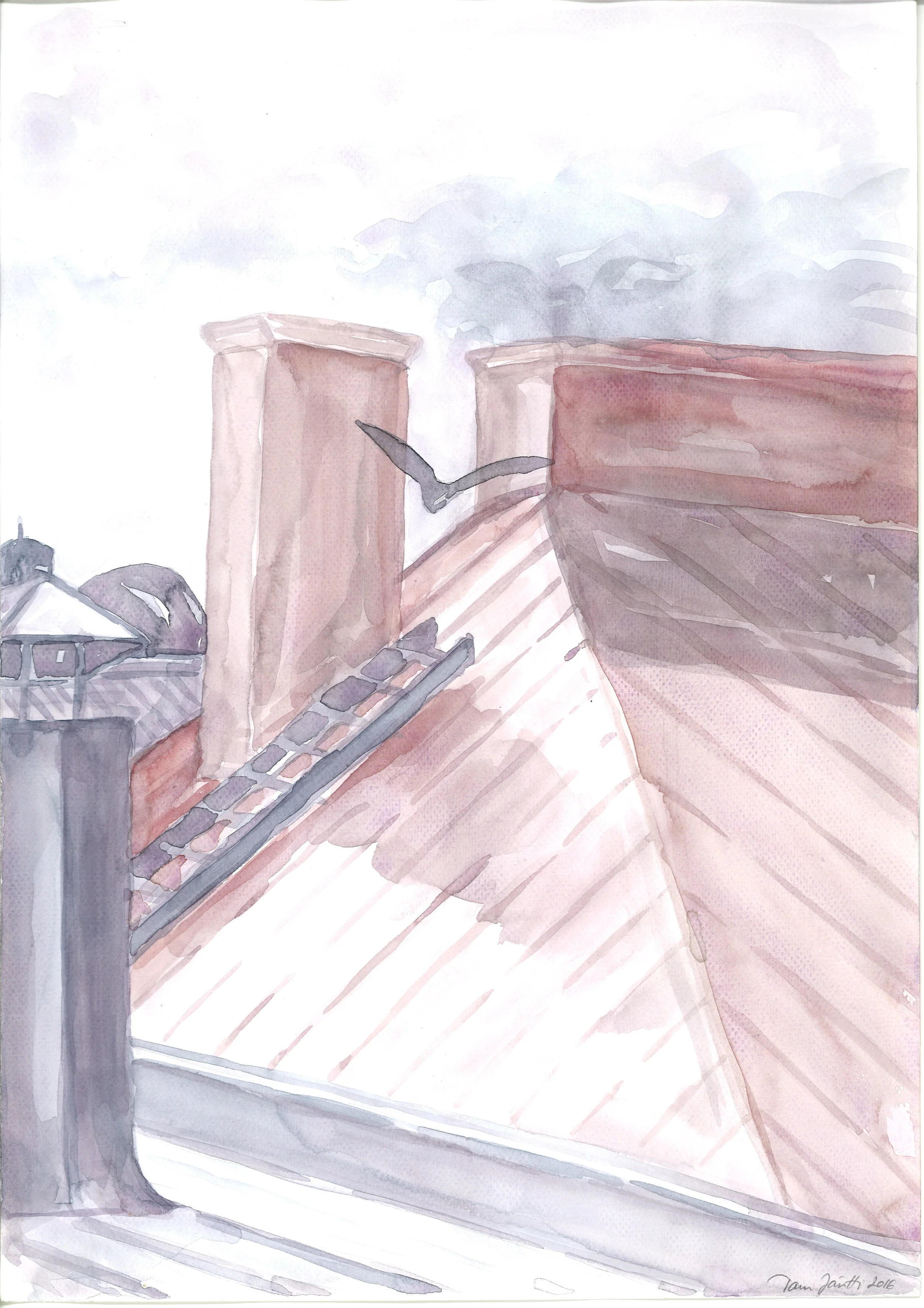 Seagull on Roof.jpg