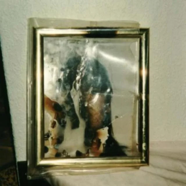 005aa28be49bc09e4cc9.jpg