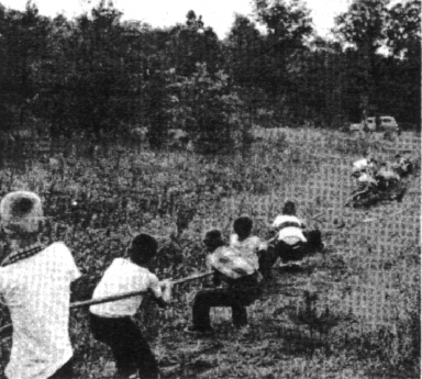 The Eagles take on the Rattlers in Tug-a-War, 1953