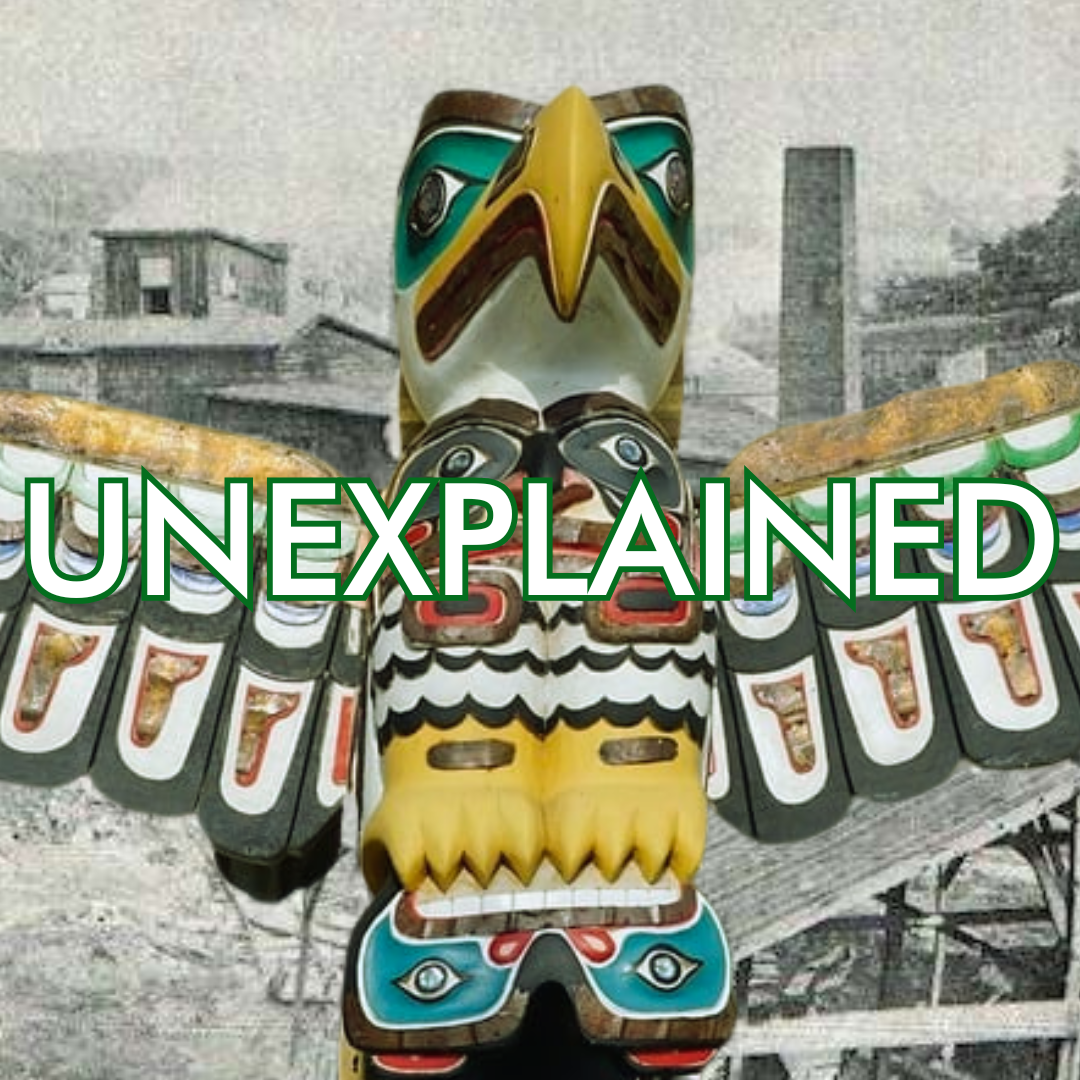 Season 08 Episode 41: The Visitor artwork