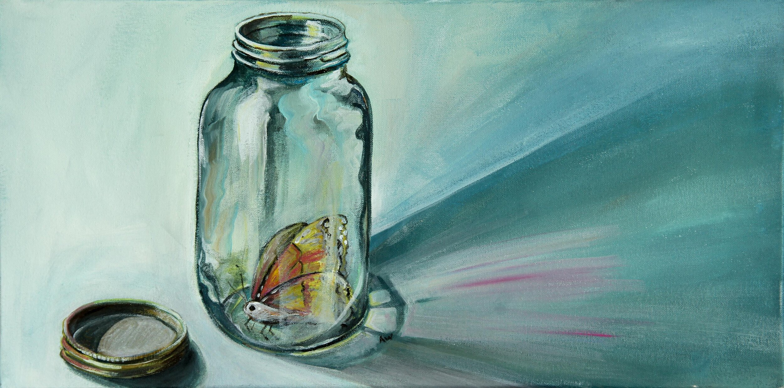 Free Butterfly (for CNN International)