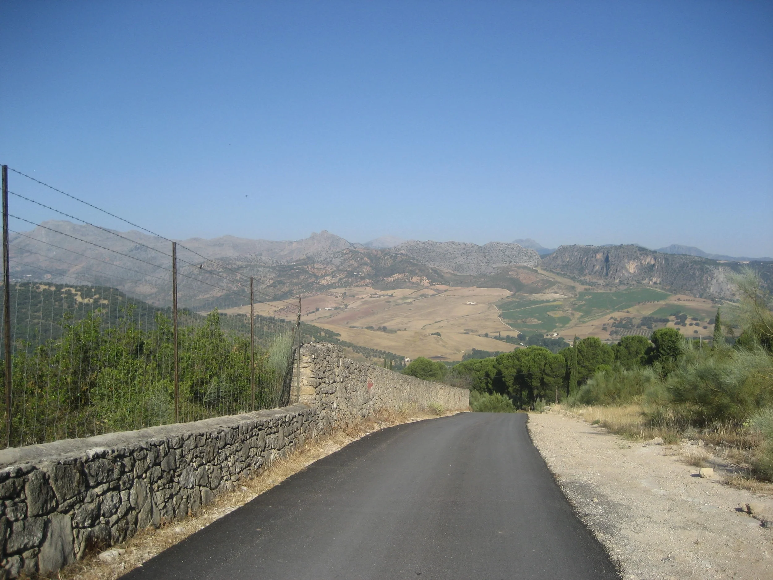 A Prayer for the New Year