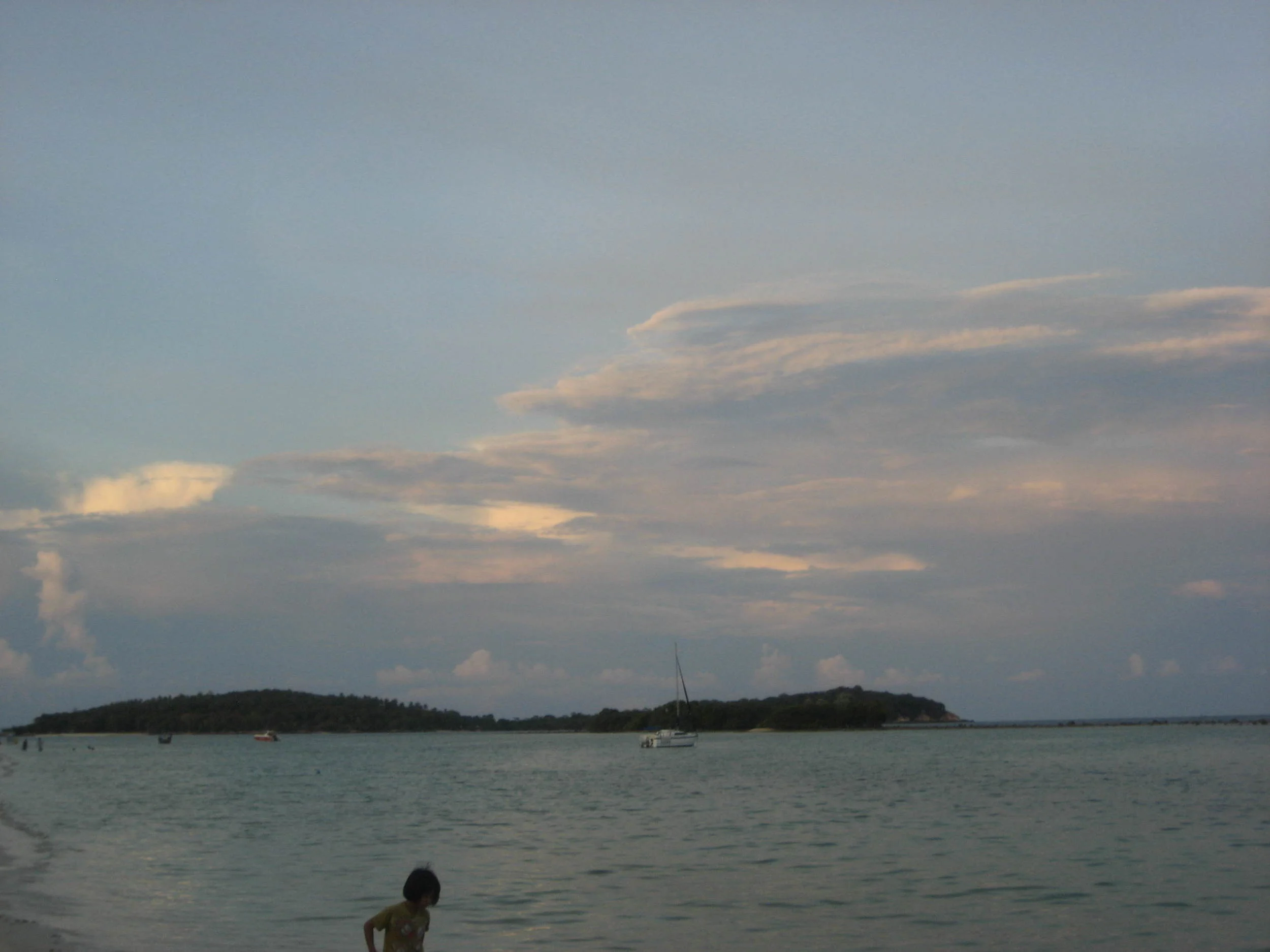 The Princes of the Palace