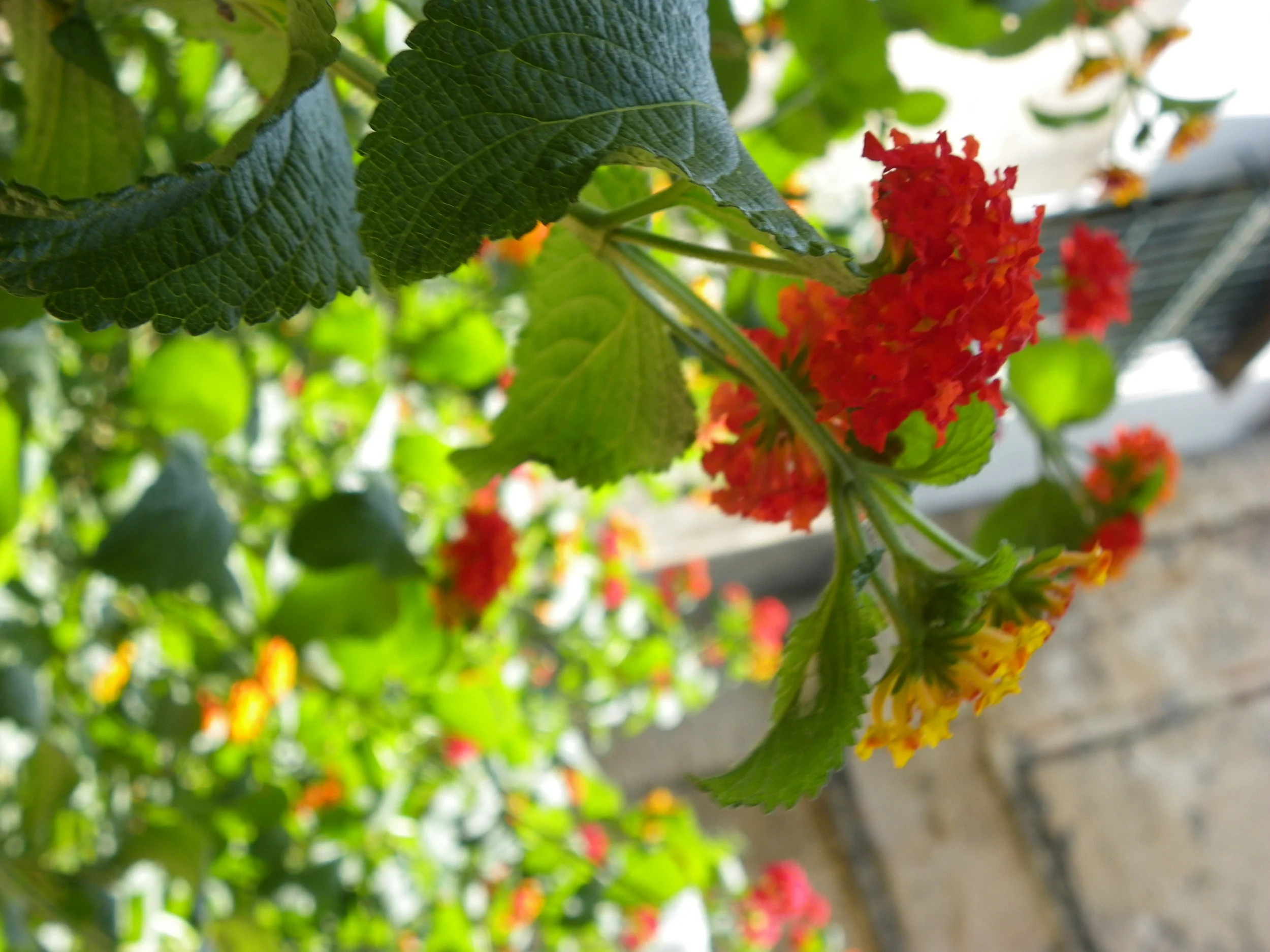 If you practice being love, you don't have to work so hard to act like it