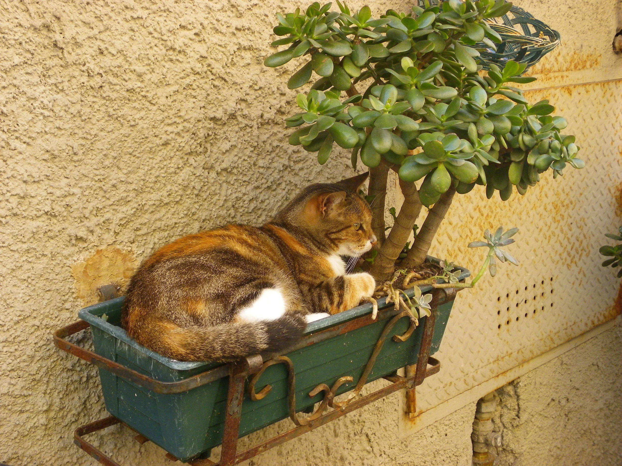 The Power to Go Beyond Time Is Ours