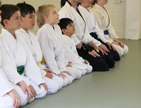 Aikido for Children