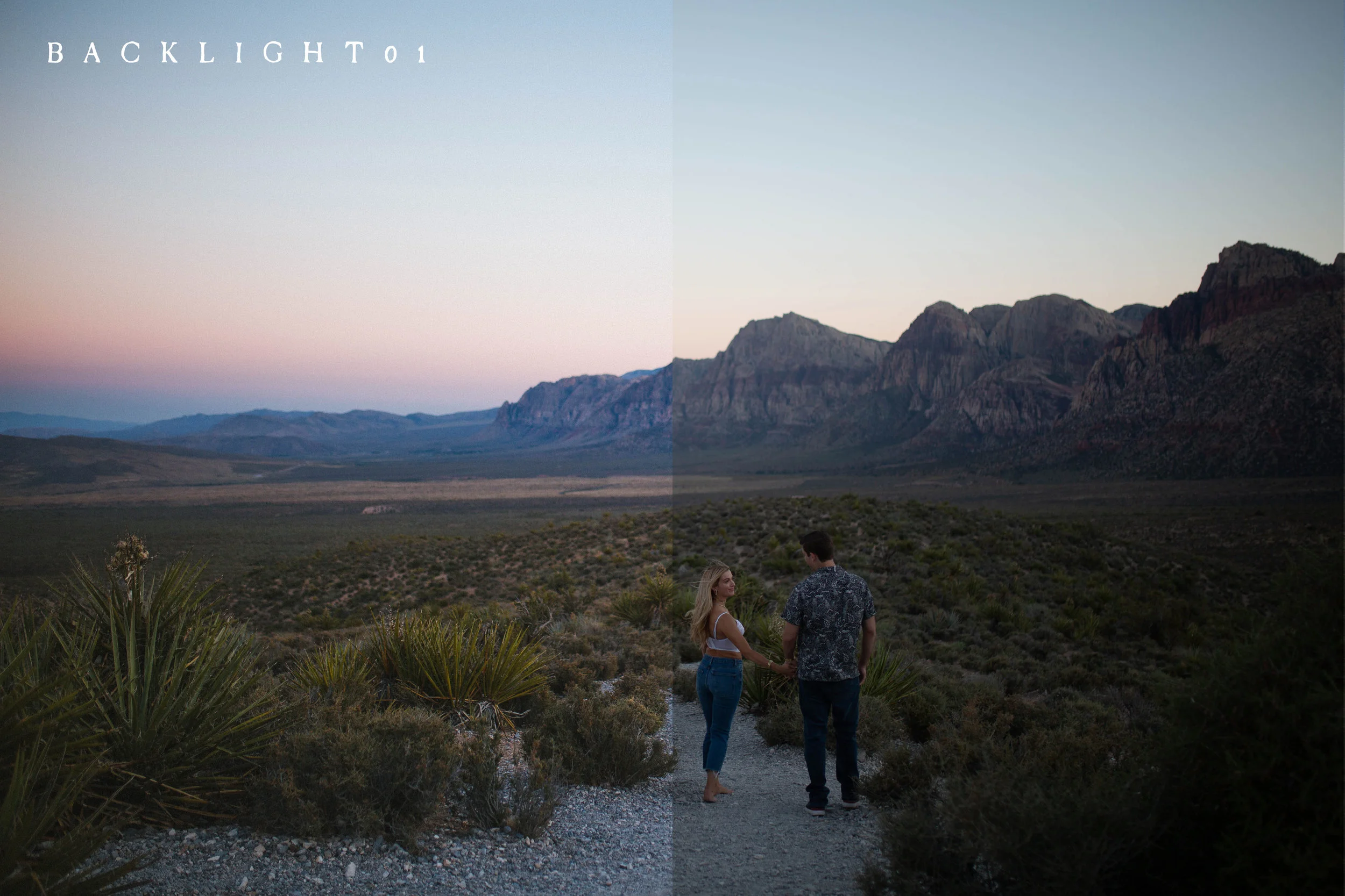 backlight01.jpg
