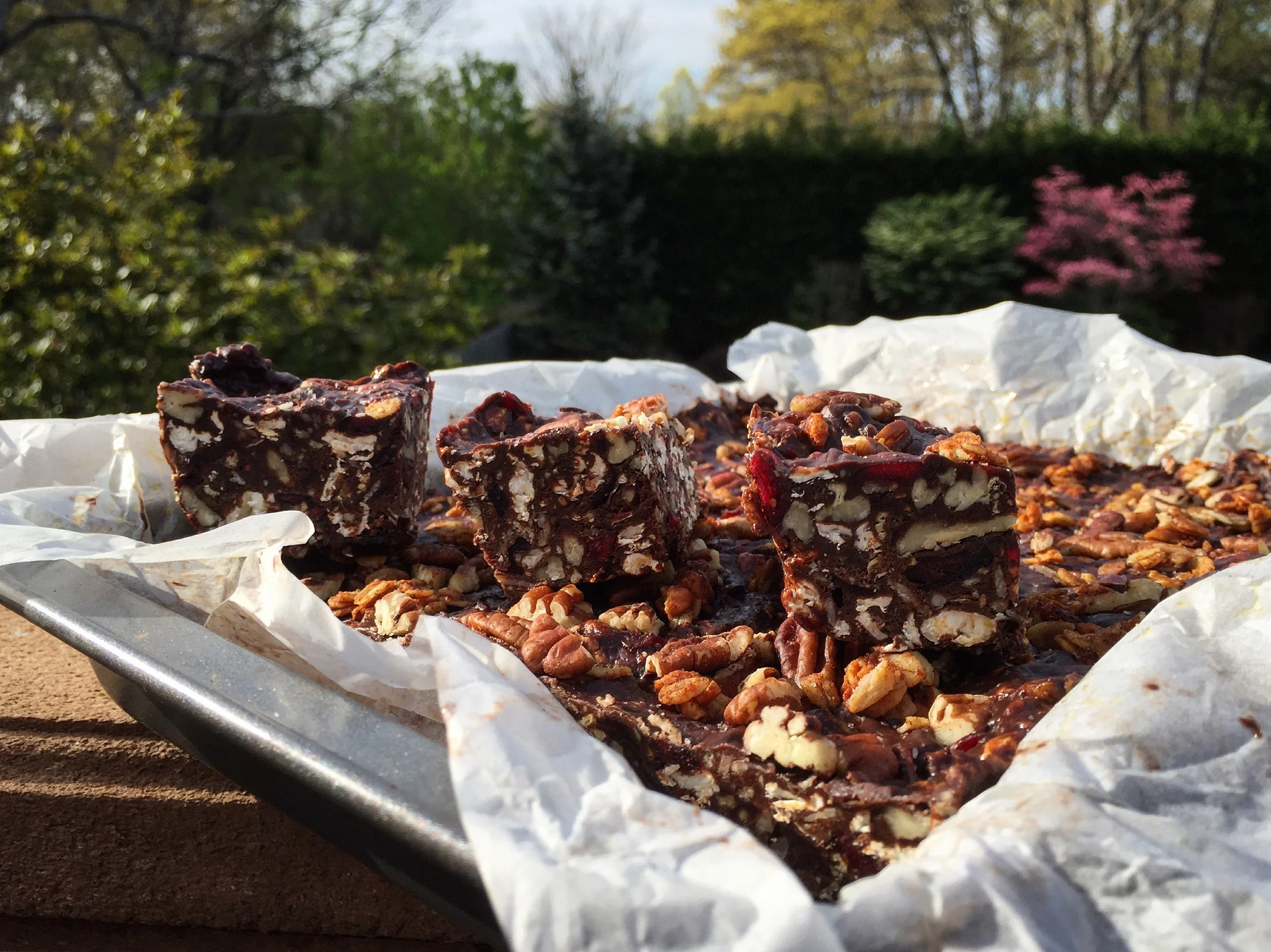 "Dark Chocolate Granola Bars"