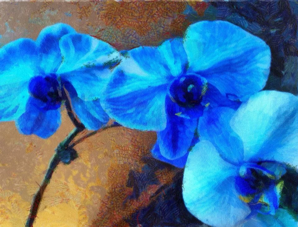 "Blue Orchids"