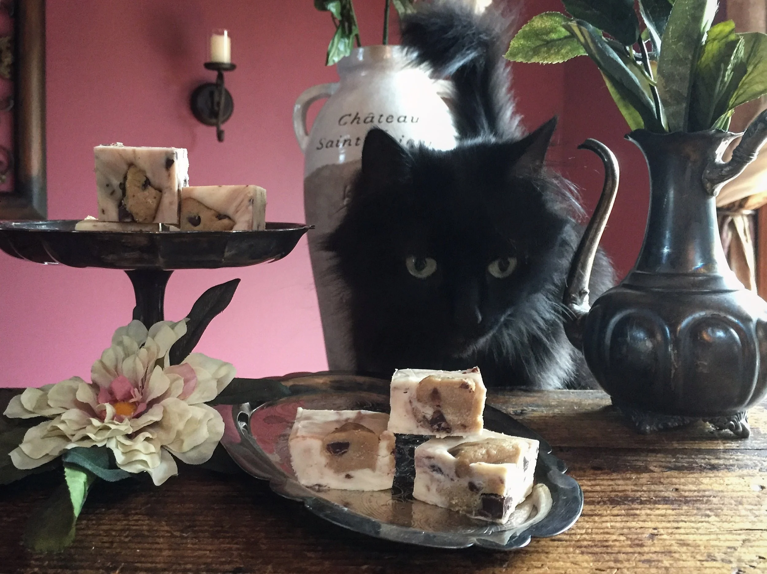 "Curiosity, Cats & Cookies"
